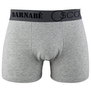 OSCAR ET BARNABE Boxer Garçon Coton UNI Gris