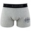 OSCAR ET BARNABE Boxer Garçon Coton SPORT VINTAGE Gris