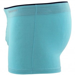 EMINENCE Boxer Homme Micromodal ANATOMIC Menthe