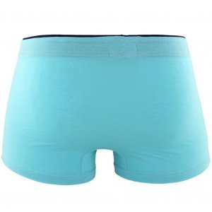 EMINENCE Boxer Homme Micromodal ANATOMIC Menthe