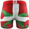 FREEGUN Boxer Homme Microfibre BASPLA Vert Rouge