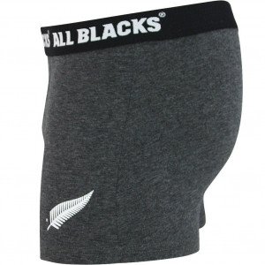 ALL BLACKS Boxer Homme Coton BCCLASS Anthracite chiné