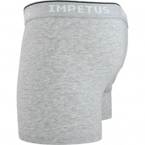 IMPETUS Boxer Homme Coton bio ORGANIC Souris chiné