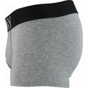 REPLAY Boxer Homme Coton INSCN Souris chiné