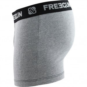 FREEGUN Boxer Homme MicroCoton BCASS1 Souris ICE