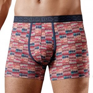 IMPETUS Boxer Homme Viscose RETRO Multicolore