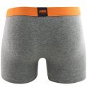 KTM Boxer Homme Coton BCASS Anthracite chiné