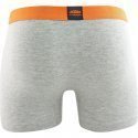 KTM Boxer Homme Coton BCASS Souris chiné