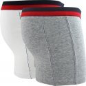 FILA Lot de 2 Boxers Homme Coton BICOLX2 Gris Blanc