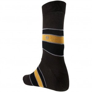 PIERRE CARDIN  Chaussettes Homme Coton LARGE Chocolat