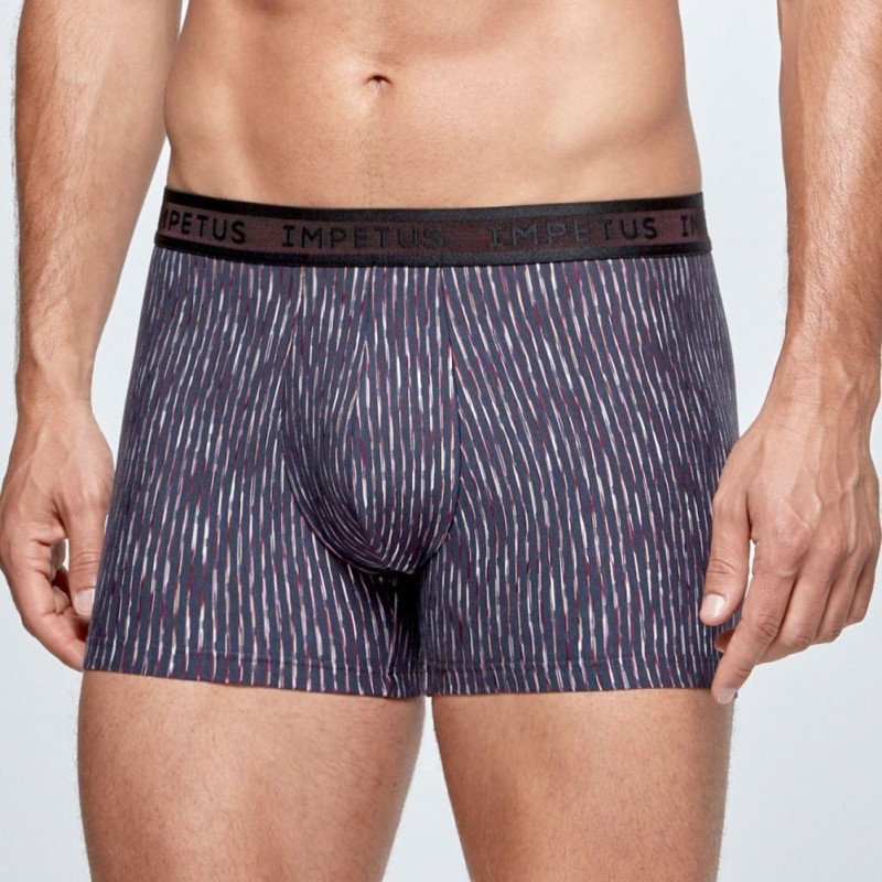 Boxer Homme BREINER Gris et Marine