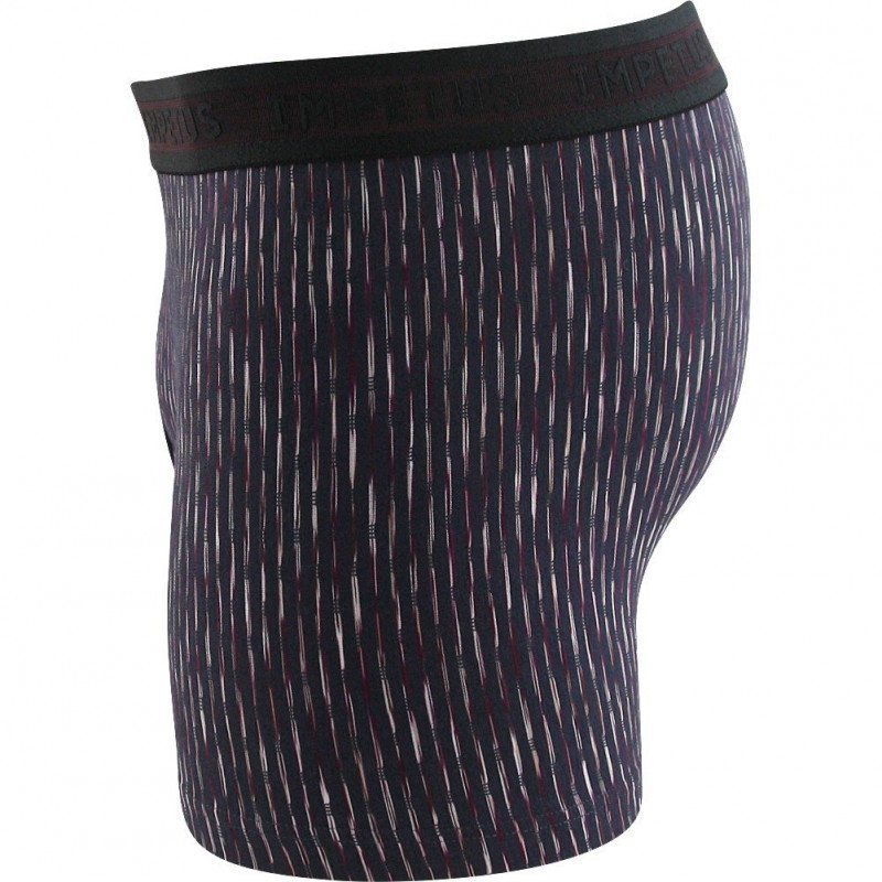 Boxer Homme BREINER Gris et Marine