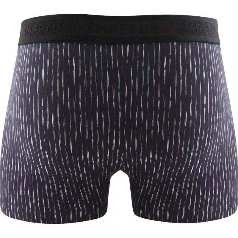 Boxer Homme BREINER Gris et Marine