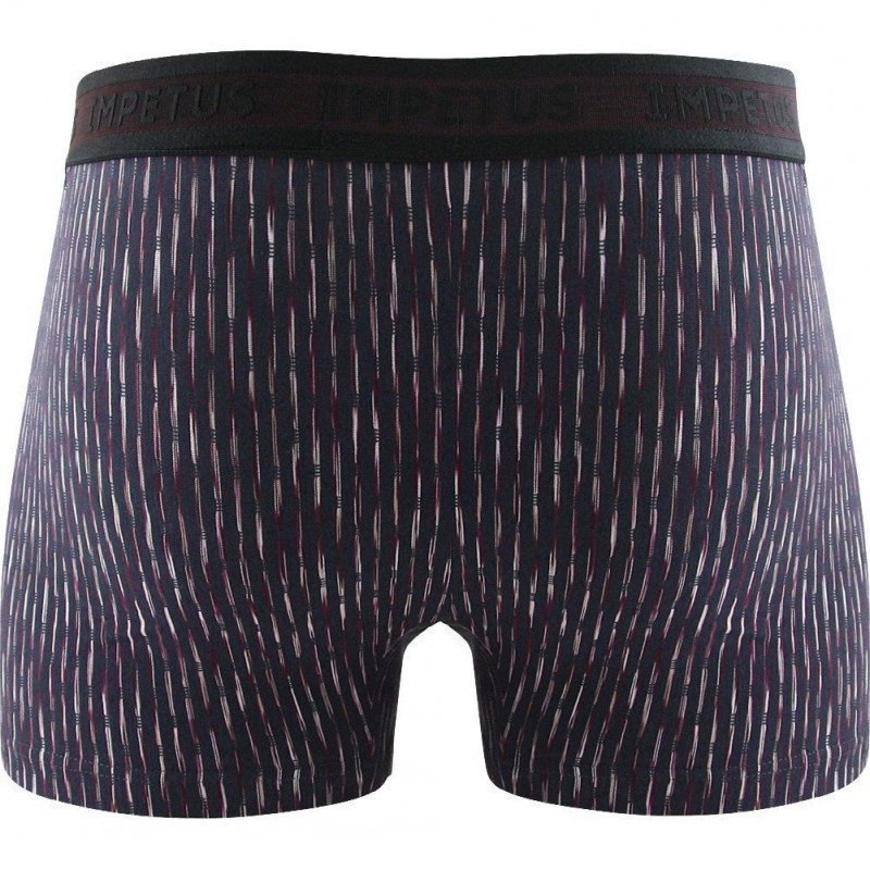 IMPETUS Boxer Homme Modal BREINER Gris