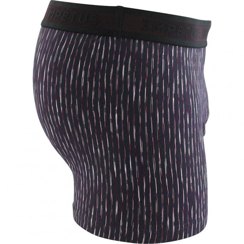 Boxer Homme BREINER Gris et Marine
