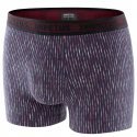 Boxer Homme BREINER Gris et Marine