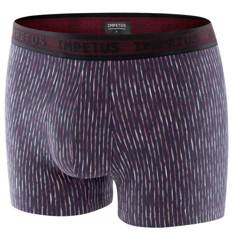 Boxer Homme BREINER Gris et Marine