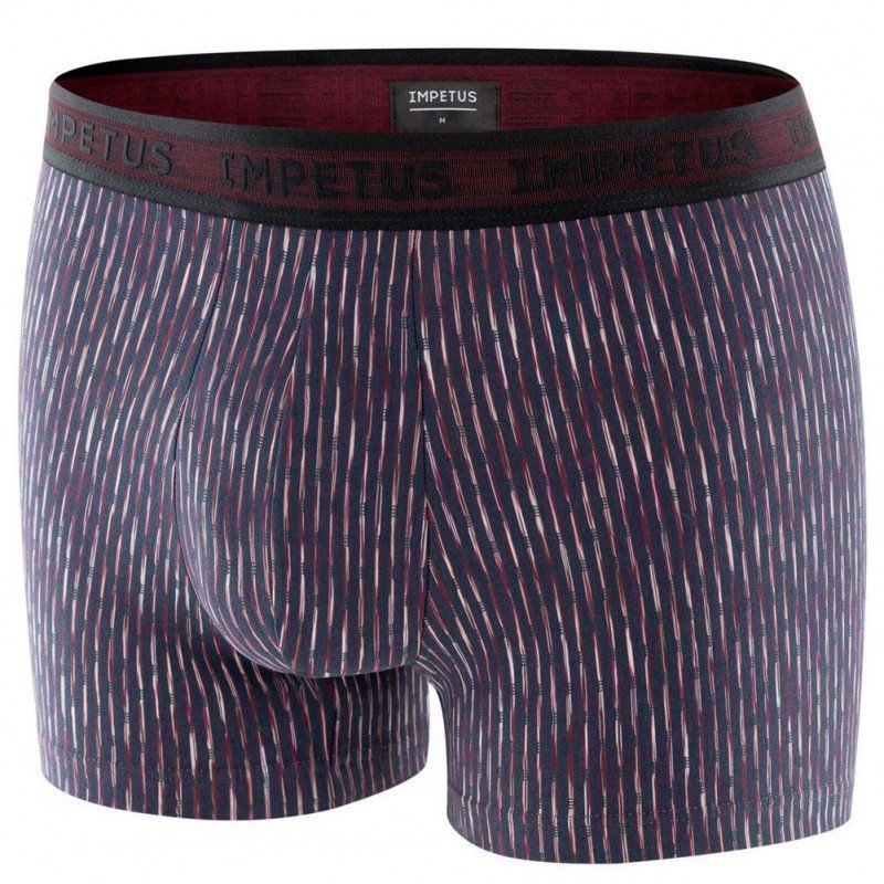 IMPETUS Boxer Homme Modal BREINER Gris