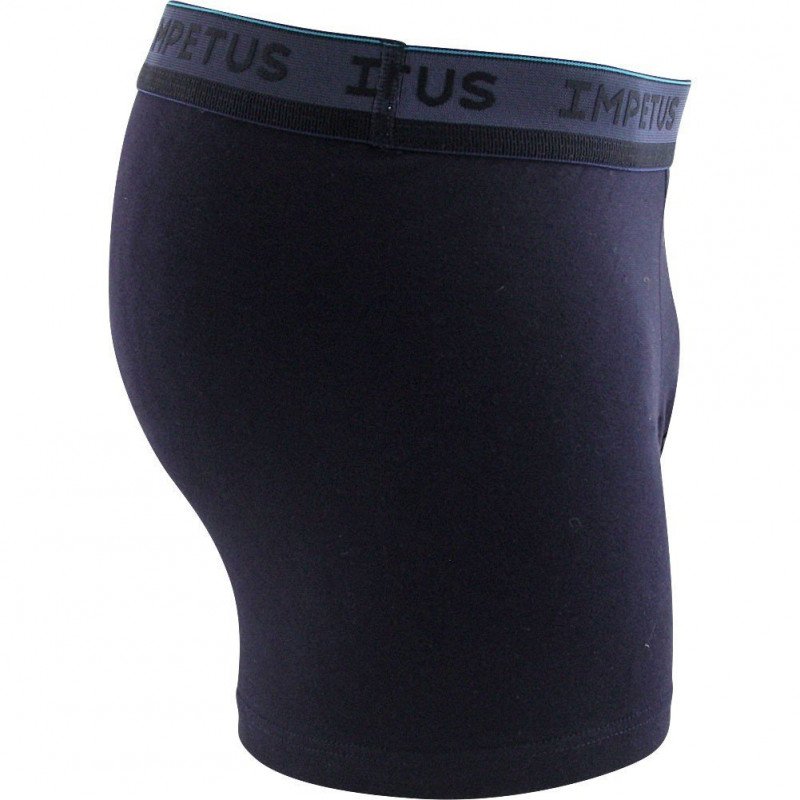 IMPETUS Boxer Homme Coton TRINDADE Bleu