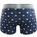 NO PUBLIK Boxer Homme Microfibre SNOW BEAR Marine Gris