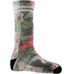 NO PUBLIK Chaussettes Homme Coton JUNGLE FLOWERS Noir Rose