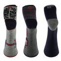 LOT DE 3 Chaussettes Chaussettes Garçon TIGRE Gris et Rouge