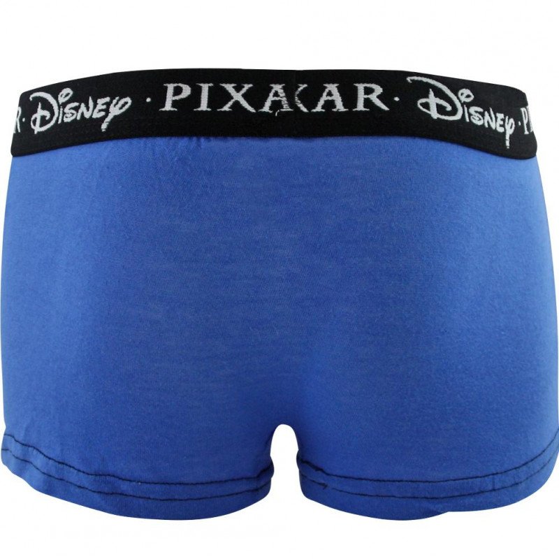 Boxer Garçon BCASS2 Bleu et Noir