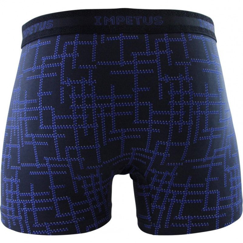 IMPETUS Boxer Homme Coton HALLSTATT Bleu