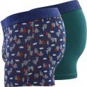 DIM Lot de 2 Boxers Homme Coton MIXANDFANCY Vert pacifique Imprimé foret