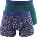 DIM Lot de 2 Boxers Homme Coton MIXANDFANCY Vert pacifique Imprimé foret