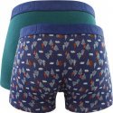 DIM Lot de 2 Boxers Homme Coton MIXANDFANCY Vert pacifique Imprimé foret