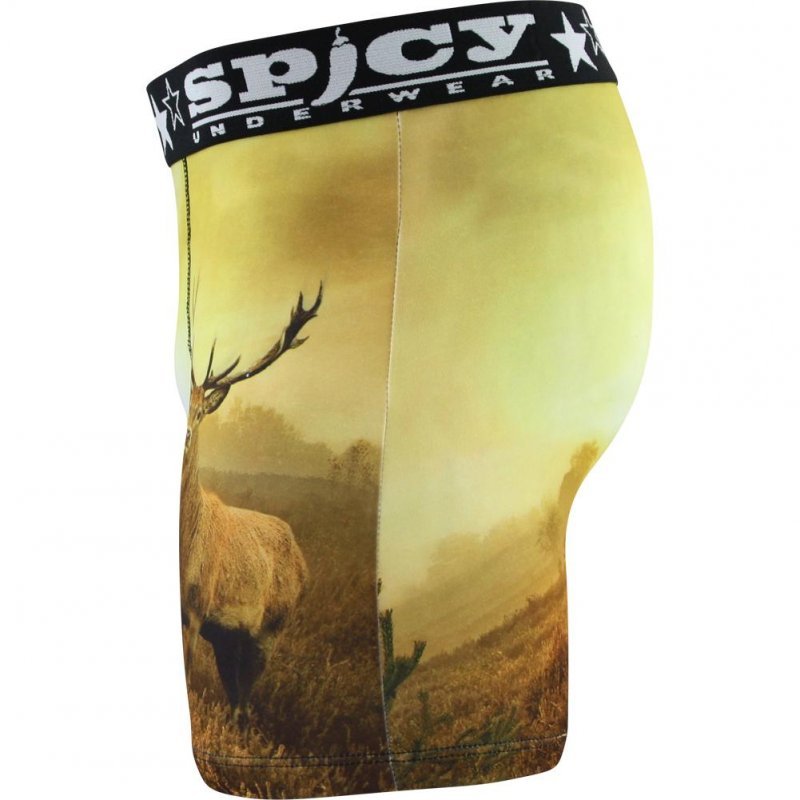 SPICY UNDERWEAR Boxer Homme Microfibre CERF Jaune Noir