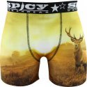 SPICY UNDERWEAR Boxer Homme Microfibre CERF Jaune Noir