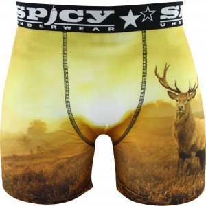 SPICY UNDERWEAR Boxer Homme Microfibre CERF Jaune Noir