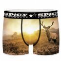 SPICY UNDERWEAR Boxer Homme Microfibre CERF Jaune Noir