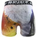 SPICY UNDERWEAR Boxer Homme Microfibre SKATE Gris Orange