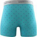 IMPETUS Boxer long Homme Lyocell STEWART Turquoise Gris