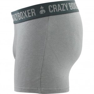 CRAZYBOXER Boxer Homme Coton Bio BCBASS1 Gris Anthracite