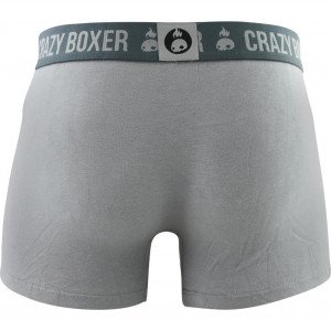 CRAZYBOXER Boxer Homme Coton Bio BCBASS1 Gris Anthracite