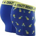 CRAZYBOXER Lot de 2 Boxers Homme Coton Bio BCX2 ANAS Bleu Jaune