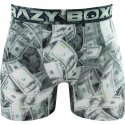 CRAZYBOXER Boxer Homme Microfibre recyclée BM4ASS36 CASH Gris