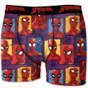 MARVEL Boxer Homme Microfibre SPID07 Multicolore SPIDERMAN