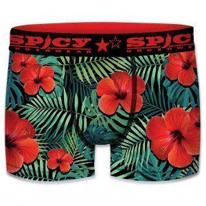 SPICY UNDERWEAR Boxer Garçon Microfibre ASS1 Fleurs Vert Rouge