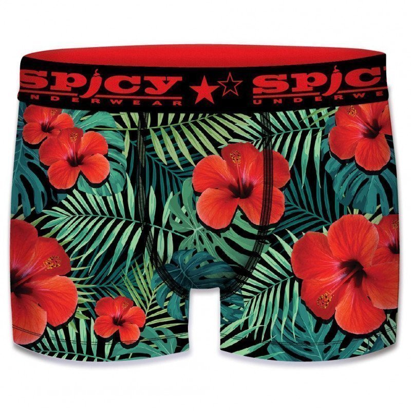 SPICY UNDERWEAR Boxer Garçon Microfibre ASS1 Fleurs Vert Rouge