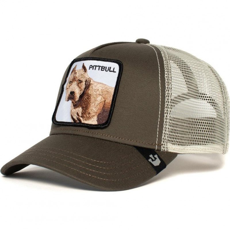 Casquette Homme PITBULL Gris et Kaki