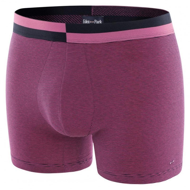 Boxer Homme BICEINT Bleu et Rose