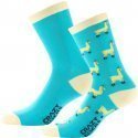 LOT DE 2 Chaussettes Chaussettes Homme ANIMA Bleu et Jaune