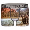Boxer Homme BEA Marron et Gris
