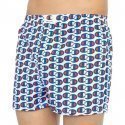 Caleçon Homme ROCHESTER Blanc et Bleu