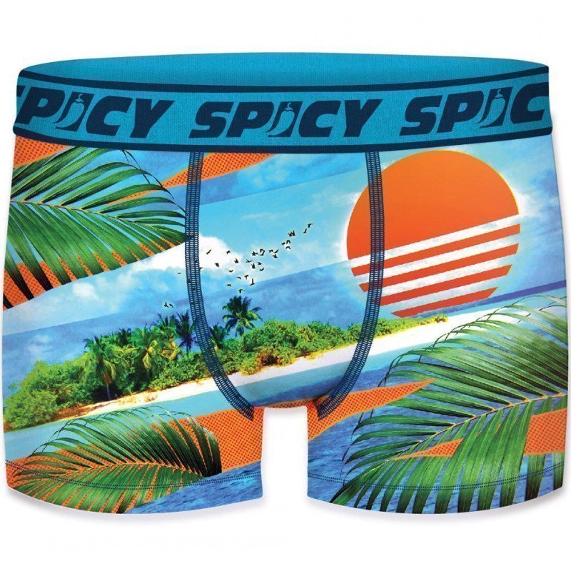 Boxer Homme ASS1 Bleu et Vert